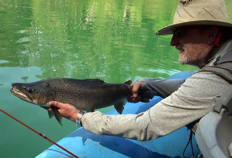 Fishing Paradise at Los Alerces National Park: Unveiling Trout Treasures -  Got Fishing